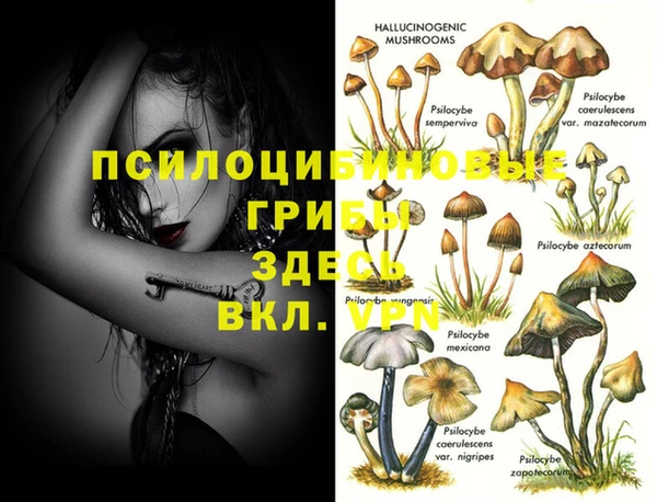 mdpv Балахна