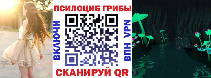 MEGA   Нерюнгри  Псилоцибиновые грибы Cubensis 